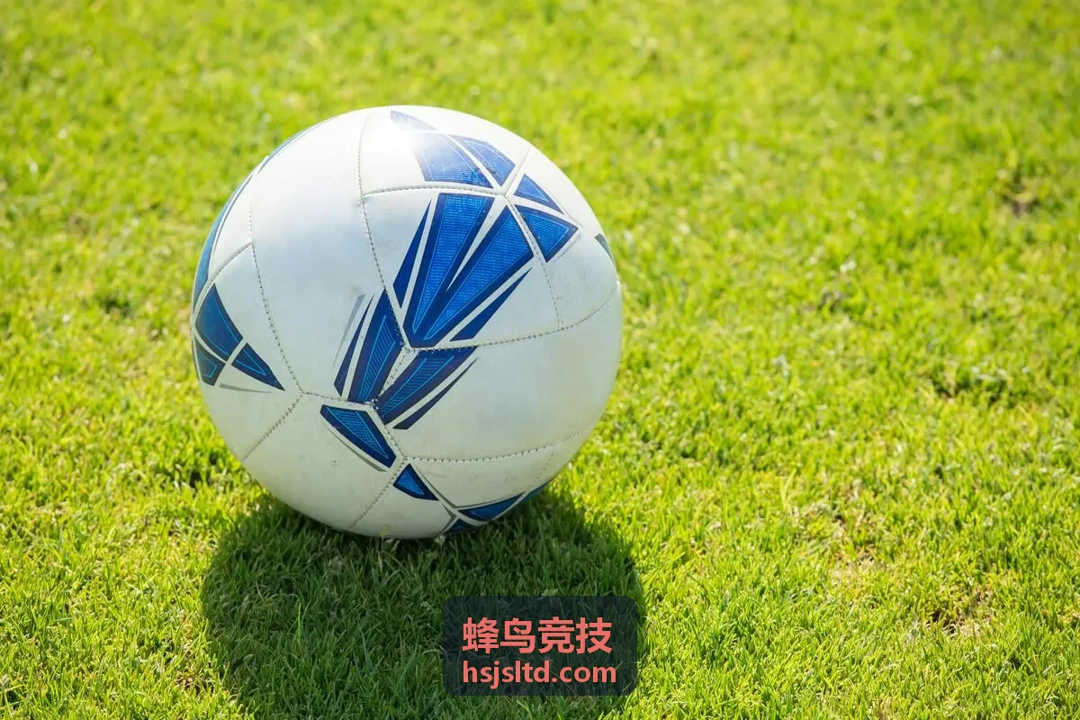 蜂鸟竞技赛事管理平台界面