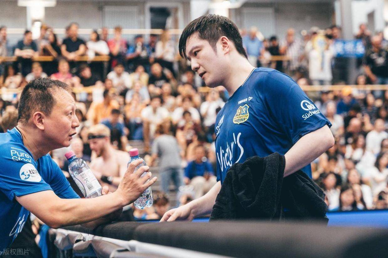 樊振东德甲立大功,俱乐部飙升至第3距榜首仅差2分,东哥周二再战